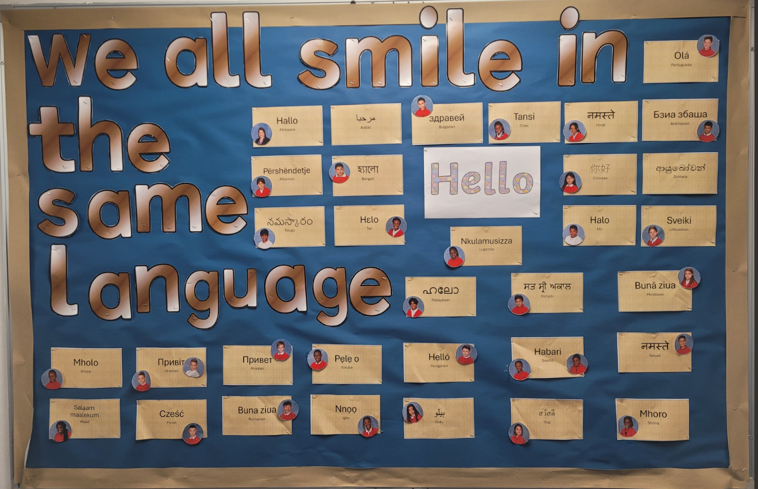 Language display